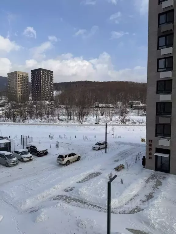 1-к кв. Сахалинская область, Южно-Сахалинск ул. Имени Владимира ... - Фото 1
