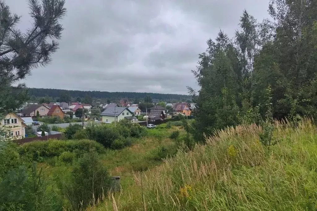Участок в Московская область, Пушкинский городской округ, д. Лепешки  ... - Фото 0