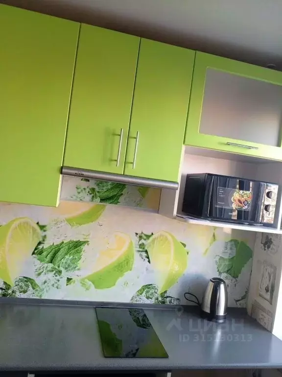 1-к кв. Омская область, Омск ул. Дмитриева, 3 (32.0 м) - Фото 1