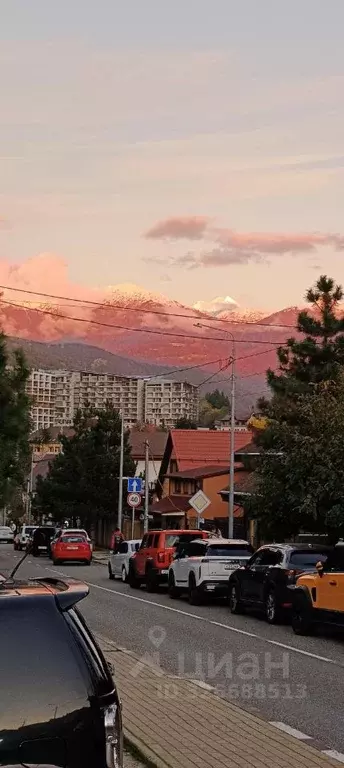 Студия Краснодарский край, Сочи Красная Поляна пгт, ул. Турчинского, ... - Фото 1