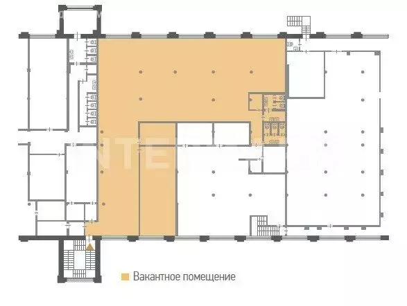 Офис (502 м) - Фото 2
