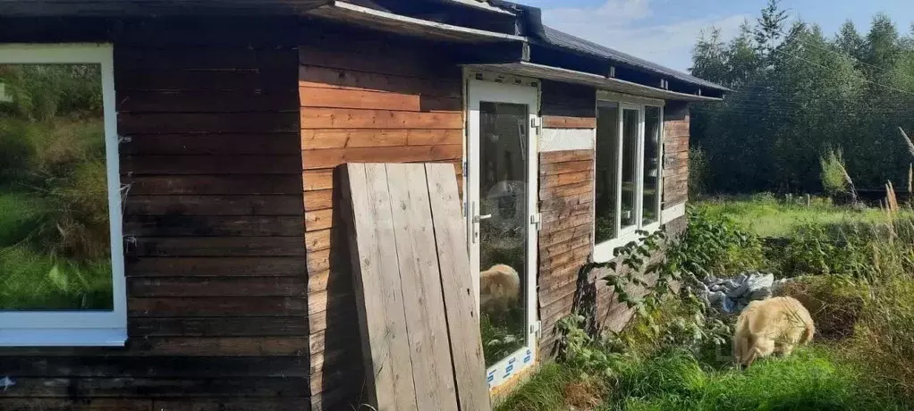 Дом в Архангельская область, Котласский муниципальный округ, Шипицыно ... - Фото 1