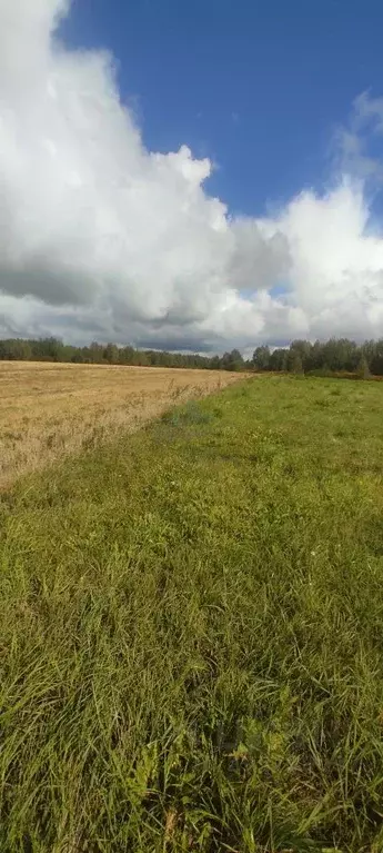 Участок в Нижегородская область, Городецкий муниципальный округ, д. ... - Фото 1