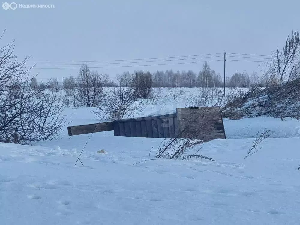 Участок в Майминский район, село Подгорное, Магистральная улица (14.5 ... - Фото 2