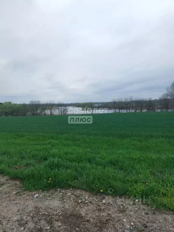 Участок в Краснодарский край, Кореновск 2-й кв-л,  (56142.0 сот.) - Фото 1