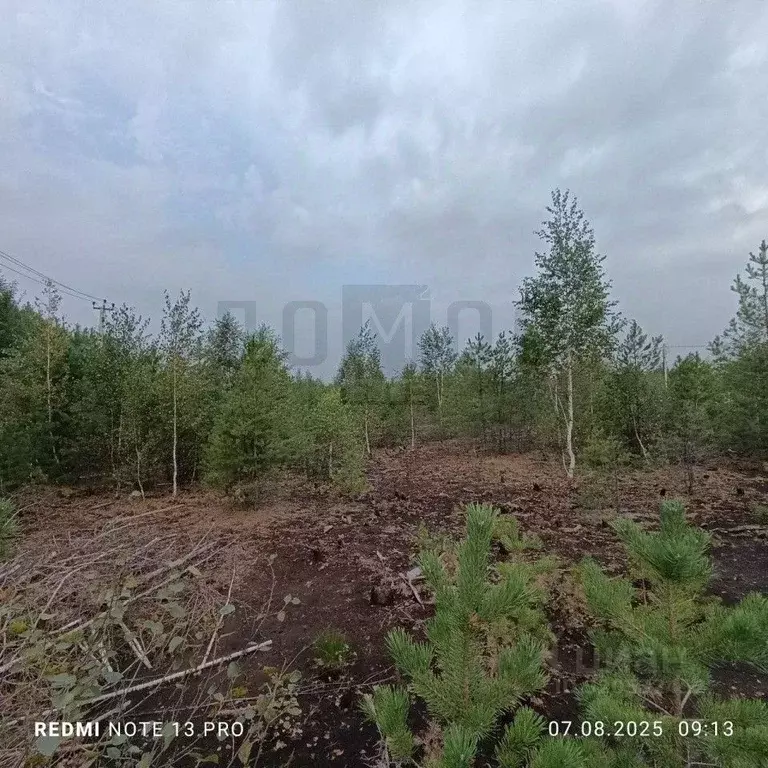 Участок в Свердловская область, Екатеринбург Новый Свет СНТ,  (20.0 ... - Фото 1