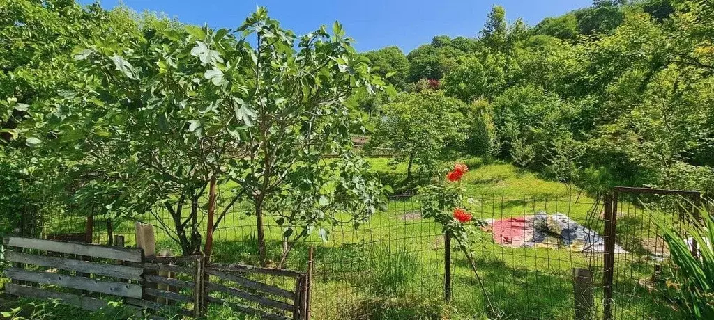 Участок в Краснодарский край, Сочи городской округ, с. Верхний Юрт, ... - Фото 1