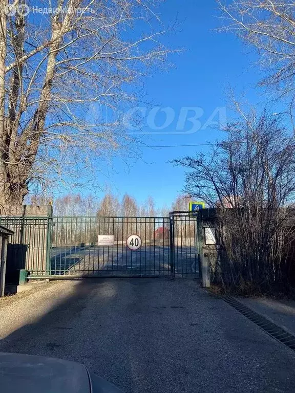 Дом в Тюмень, садовое товарищество Здоровье, улица Вишенка (20 м) - Фото 1