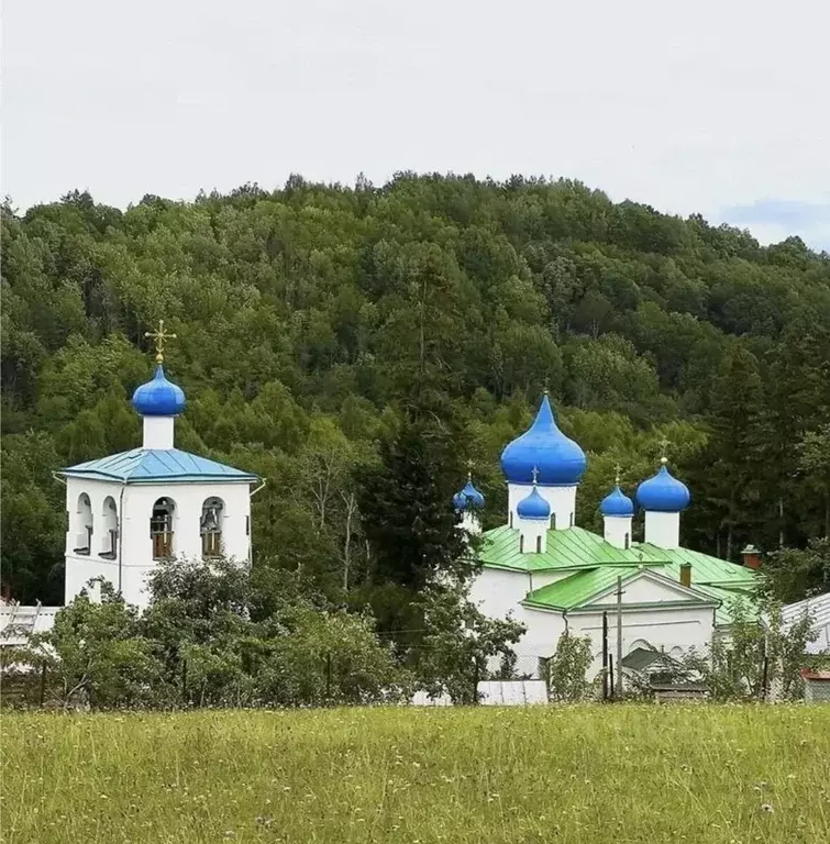 Участок в Псковская область, Печорский муниципальный округ, д. Малы  ... - Фото 1