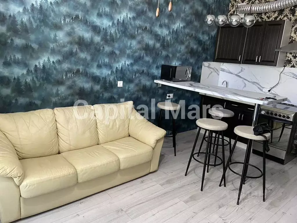 1-к кв. Санкт-Петербург ул. Русановская, 20к1 (23.0 м) - Фото 1