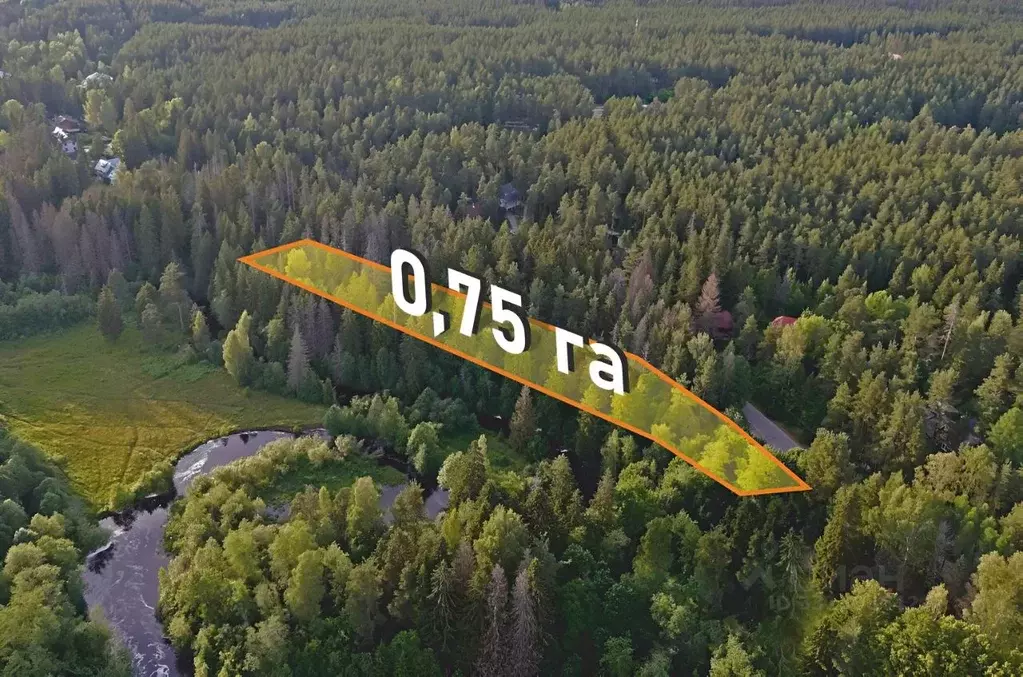 Участок в Ленинградская область, Выборгский район, Рощино городской ... - Фото 2