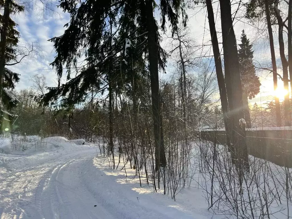 Участок в Московская область, Щелково городской округ, Загорянский пгт ... - Фото 1