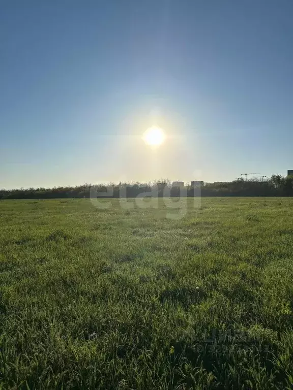 Участок в Ростовская область, Аксайский район, Большой Лог хут. ул. ... - Фото 0