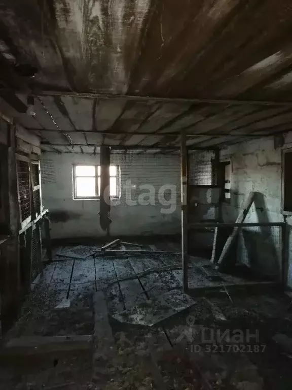 Участок в Новосибирская область, Искитимский район, Гилевский ... - Фото 1