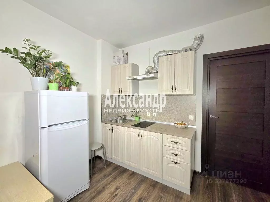 Студия Санкт-Петербург просп. Ветеранов, 171к5 (23.4 м) - Фото 2