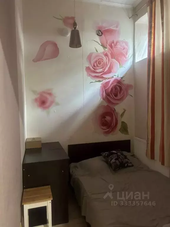 Студия Московская область, Пушкино Западная ул., 33 (24.5 м) - Фото 2