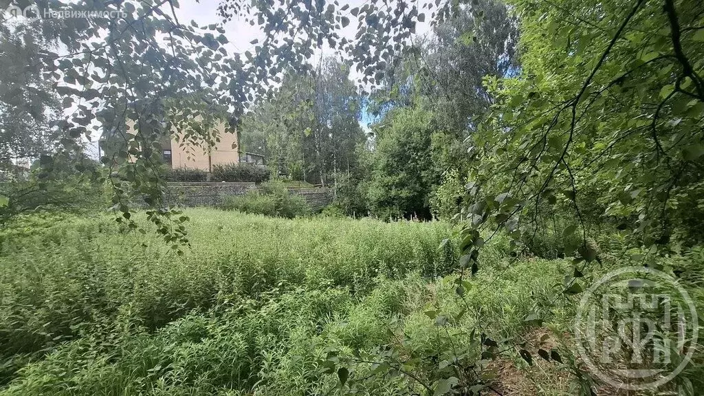 Участок в деревня Бор, Берёзовая аллея (15 м) - Фото 2