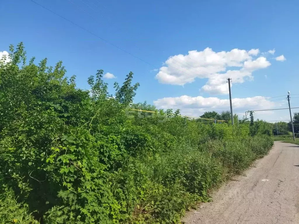 Участок в Белгородская область, Волоконовский район, Покровское с/пос, ... - Фото 1