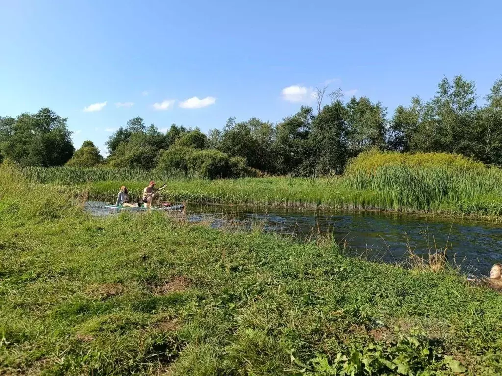 Участок в Ленинградская область, Гатчинский район, Рыбицы-1 кп 690 ... - Фото 0