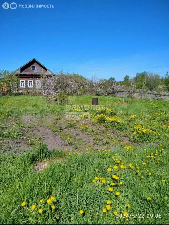 Дом в Костромская область, посёлок Островское (46 м) - Фото 0