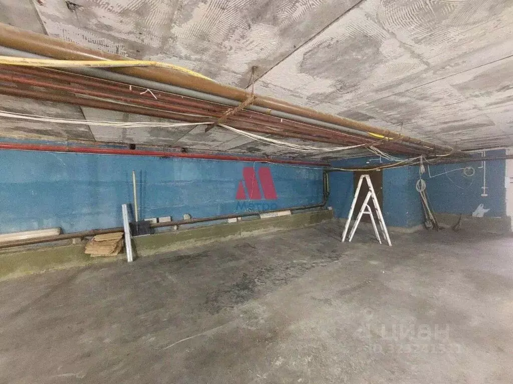 Помещение свободного назначения в Ярославская область, Ярославль ... - Фото 2