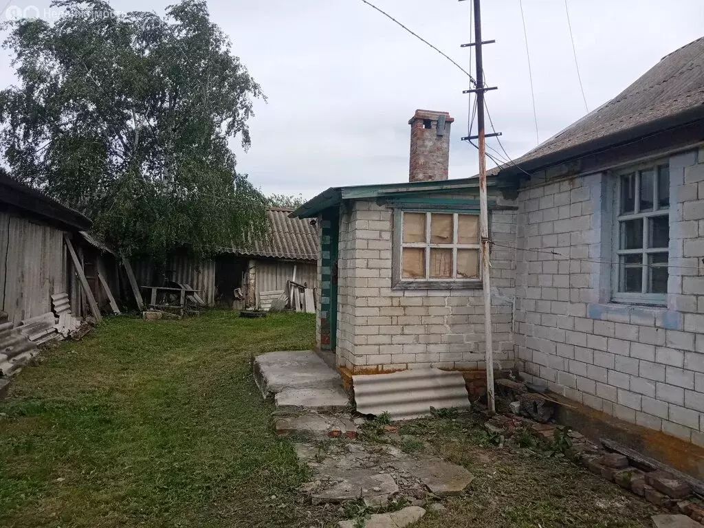 Дом в село Русская Берёзовка, улица Новостроевка, 13 (71 м) - Фото 0