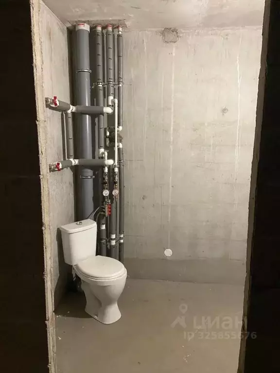 Студия Ленинградская область, Ломоносовский район, Виллозское ... - Фото 2