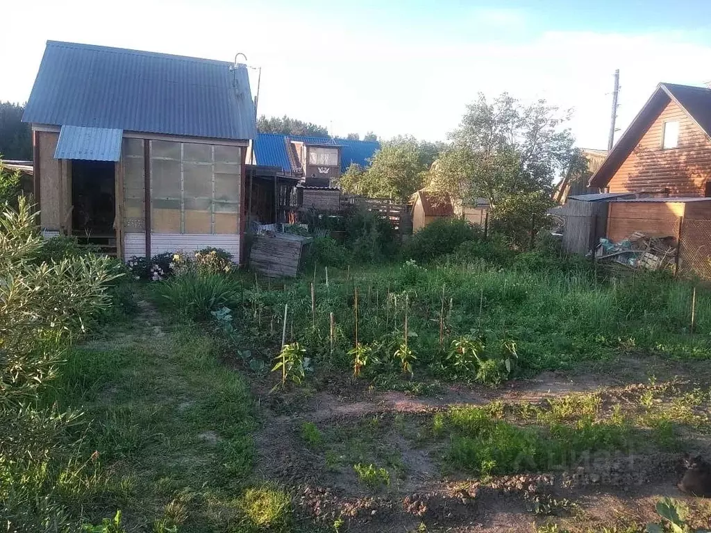 Дом в Новосибирская область, Бердск Дружба садоводческое товарищество, ... - Фото 0