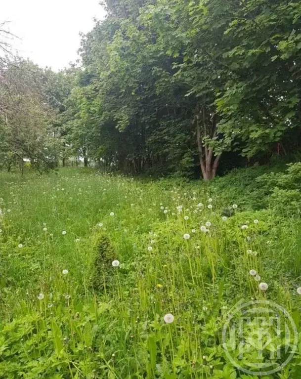 Участок в Ленинградская область, Ломоносовский район, Виллозское ... - Фото 0