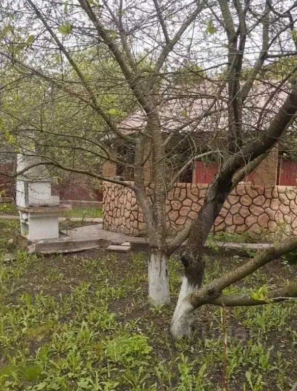 Дом в Московская область, Раменский городской округ, с. Сельцо ул. 1-я ... - Фото 0