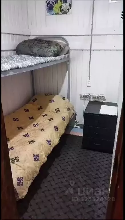 Комната Воронежская область, Воронеж Учебный пер., 9 (12.0 м) - Фото 1