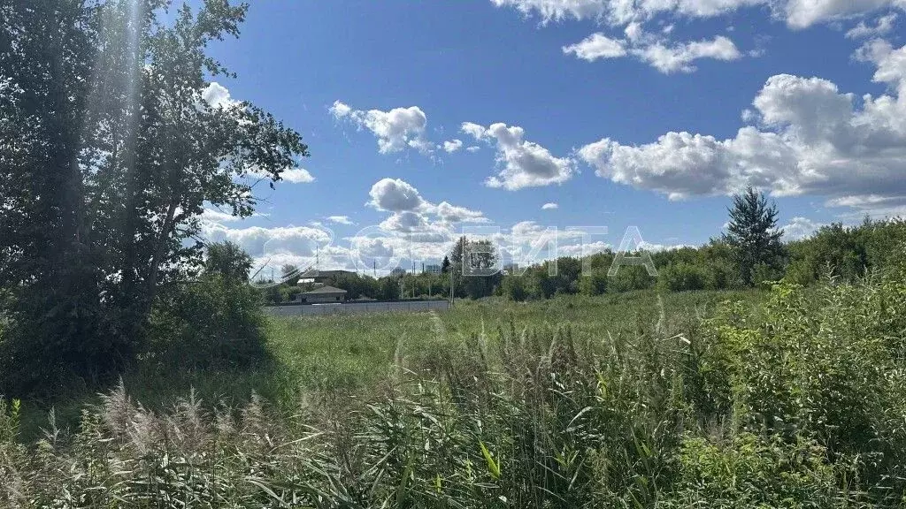 Участок в Тюменская область, Тюмень пос. Букино, ул. Полетаева (12.8 ... - Фото 2