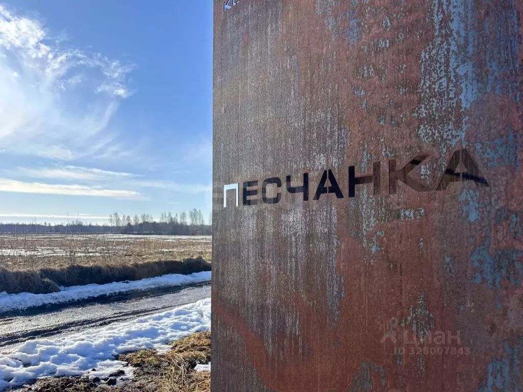 Участок в Псковская область, Псковский район, Ядровская волость, д. ... - Фото 2