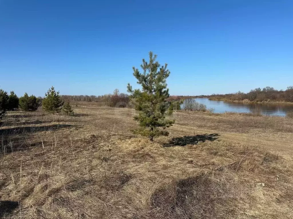 Участок в Владимирская область, Вязниковский район, Мстера ... - Фото 1