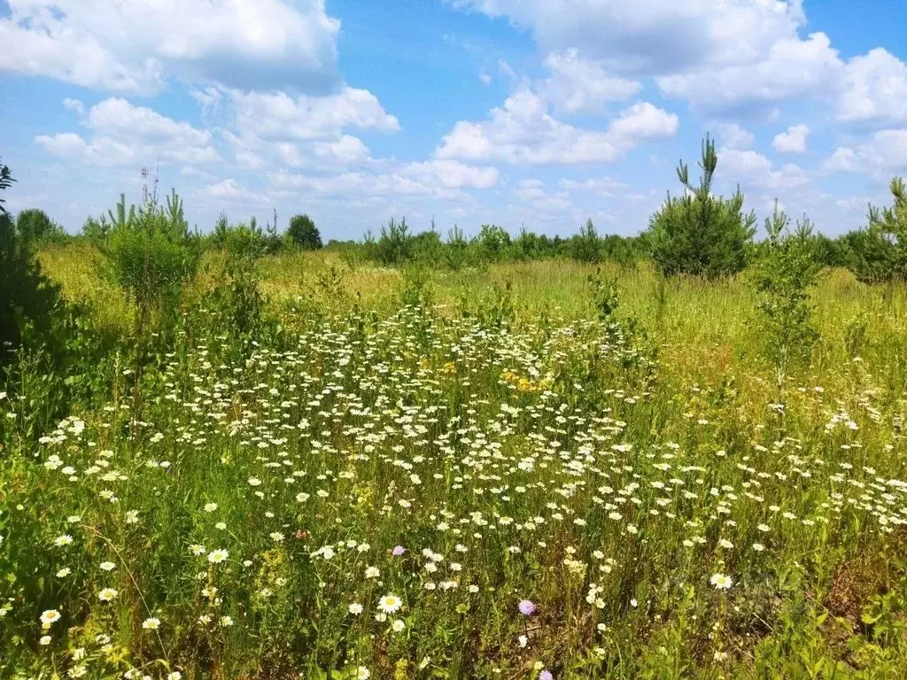 Участок в Тульская область, Ясногорский район, Иваньковское с/пос, д. ... - Фото 2