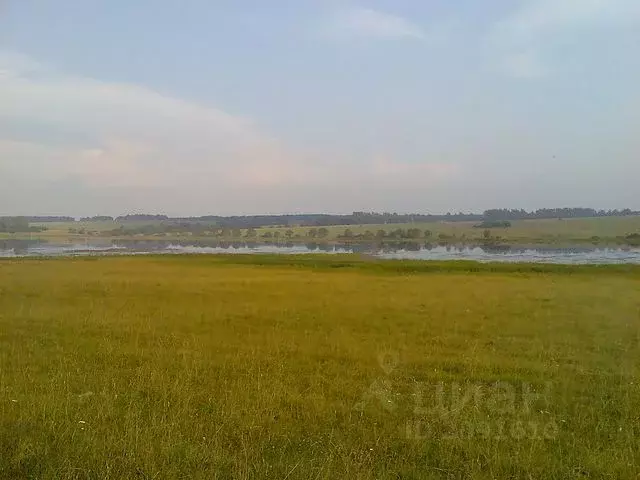 Участок в Владимирская область, Александровский район, с. Долгополье  ... - Фото 1