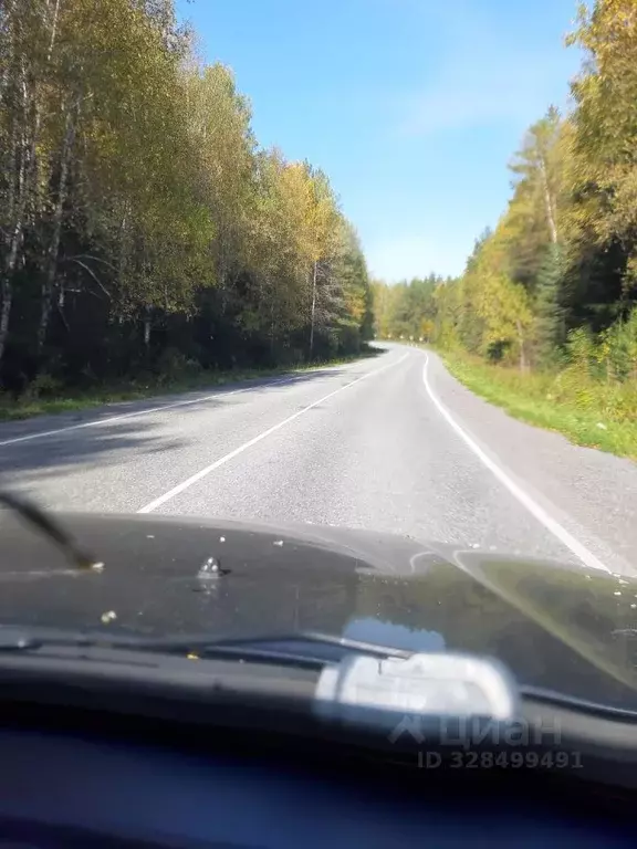 Дом в Свердловская область, Шаля пгт ул. Урицкого (29 м) - Фото 1