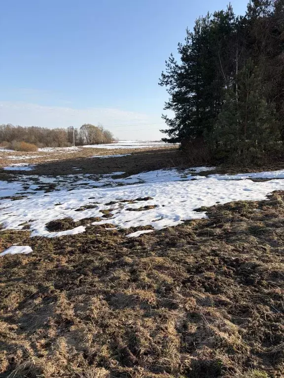 Участок в Московская область, Лотошино муниципальный округ, д. ... - Фото 1