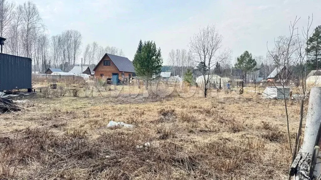 Участок в Новосибирская область, Новосибирск Диксон садовое ... - Фото 0