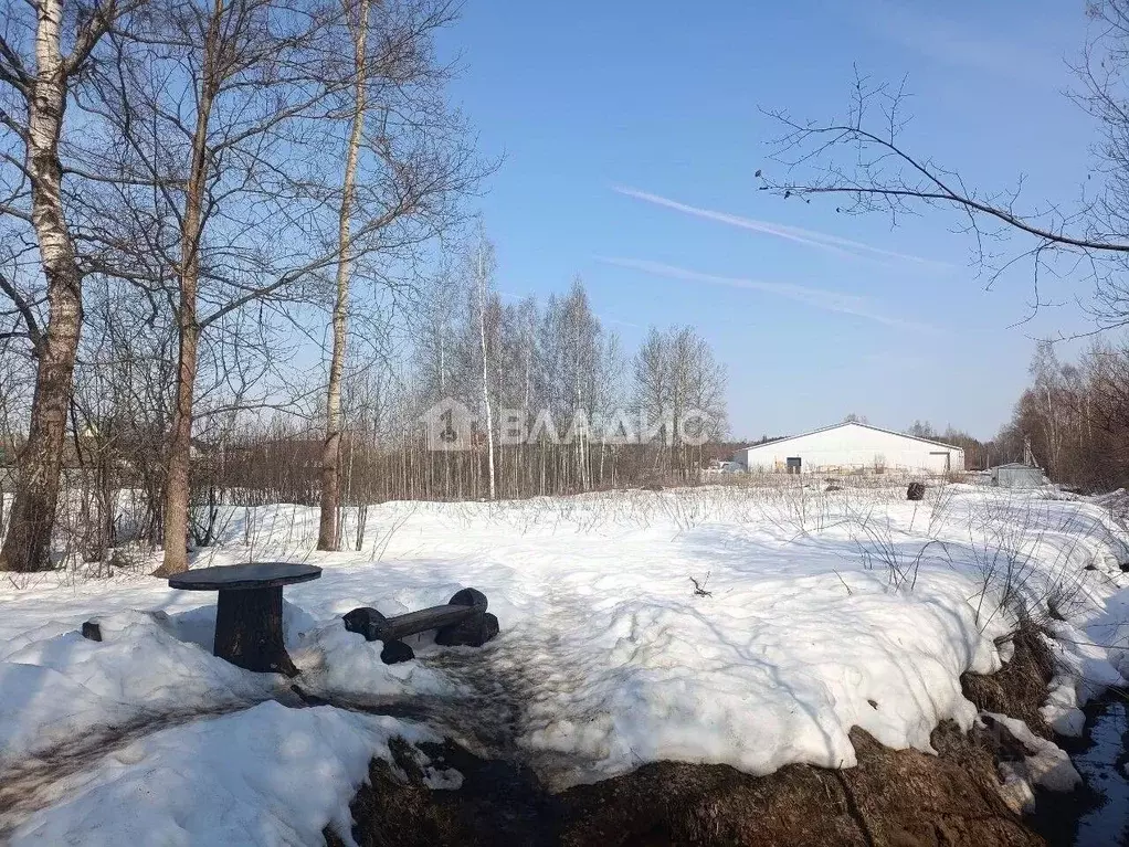 Участок в Владимирская область, Судогодский муниципальный округ, д. ... - Фото 2