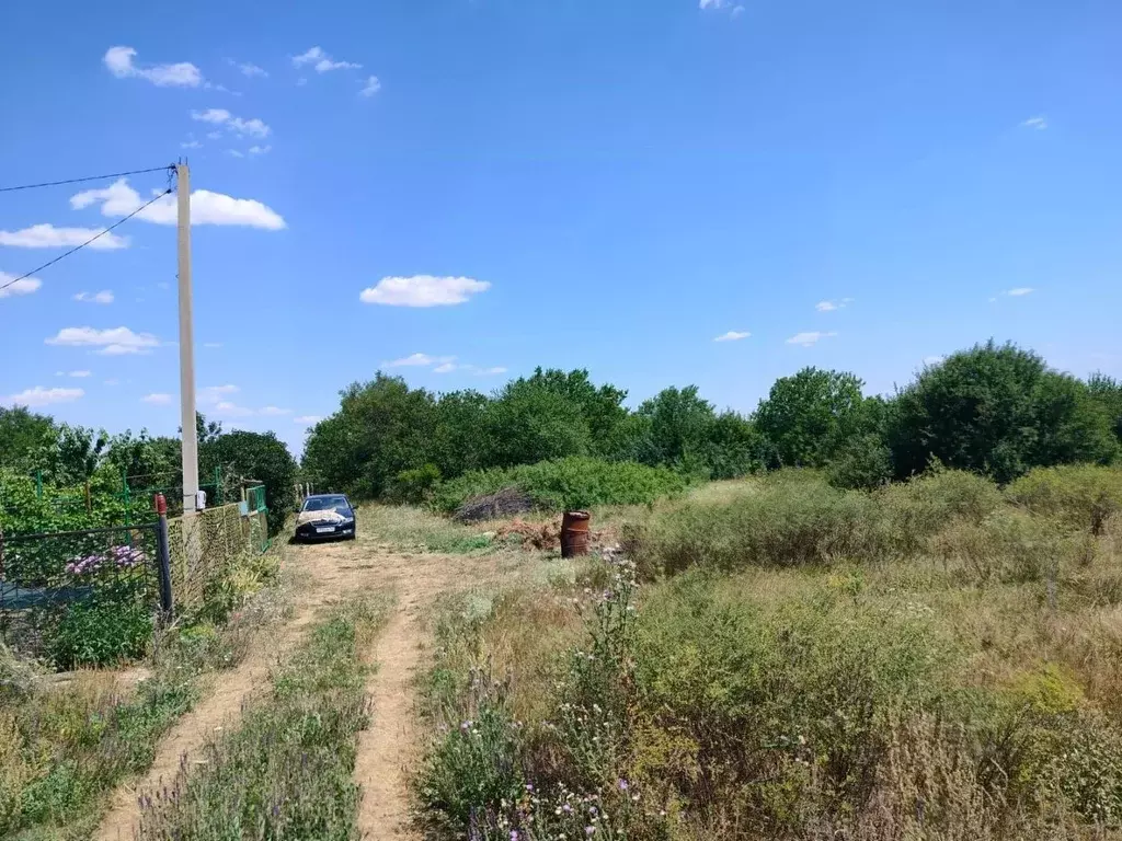 Участок в Ростовская область, Родионово-Несветайский район, ... - Фото 0