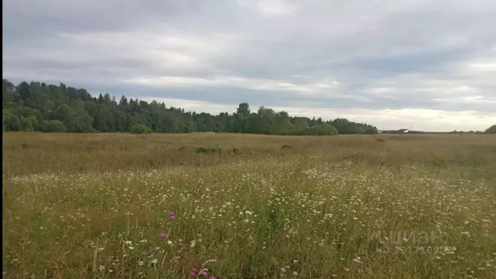 Участок в Ленинградская область, Волосовский район, Клопицкое с/пос, ... - Фото 1