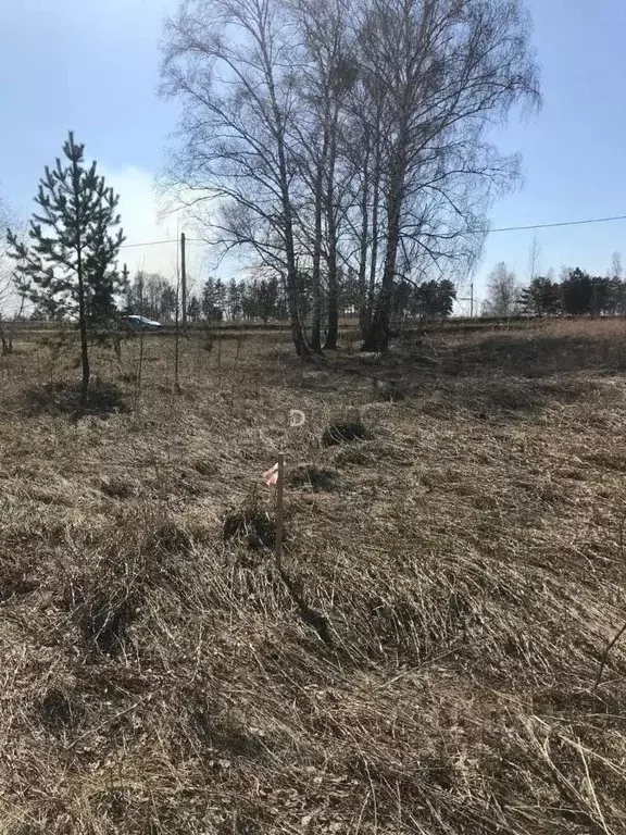 Участок в Алтайский край, Первомайский район, Моторостроитель-2 СНТ  ... - Фото 1