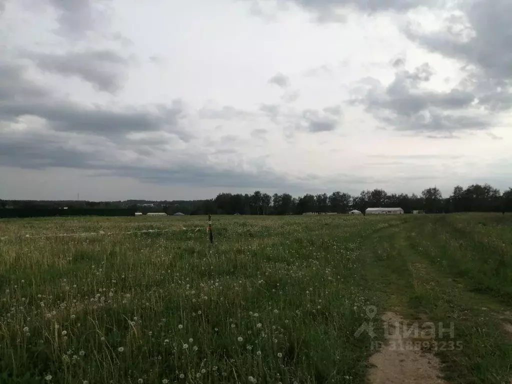 Участок, 2147.1 сот., сельхоз (снт или днп) - Фото 1