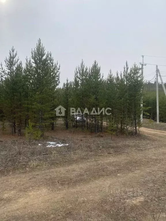 Участок в Бурятия, Улан-Удэ ул. Новосретенская (8.0 сот.) - Фото 0