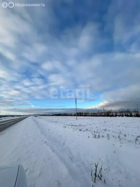 Участок в Эхирит-Булагатский район, автодорога Иркутск - Качуг, 71-й ... - Фото 1