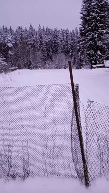 Участок в Ленинградская область, Выборгский район, пос. Поляны ш. ... - Фото 2