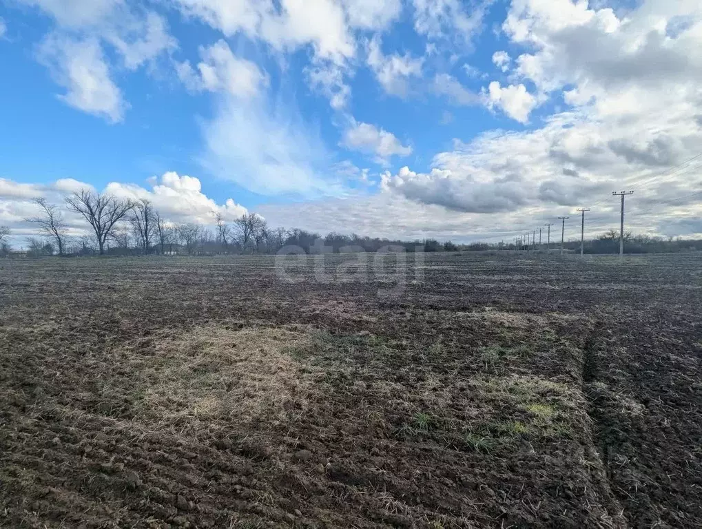 Участок в Краснодарский край, Темрюк Северные Сады СНТ,  (9.0 сот.) - Фото 2