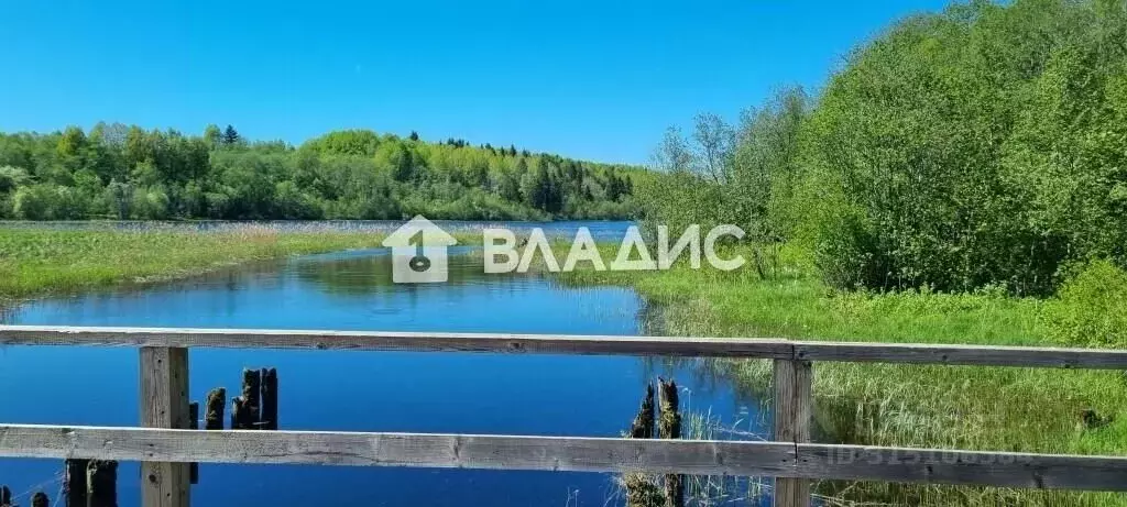 Участок в Вологодская область, Харовский муниципальный округ, д. Угол ... - Фото 0