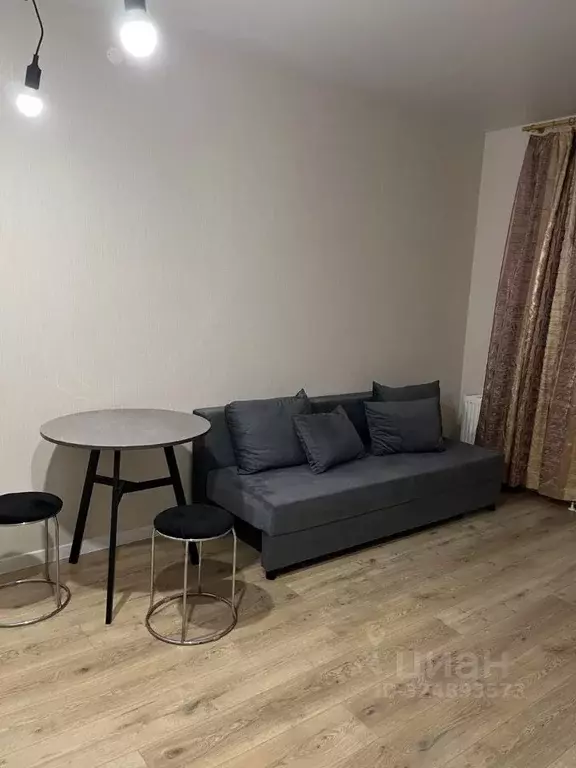 Студия Пермский край, д. Кондратово ул. Водопроводная, 4А (23.2 м) - Фото 2